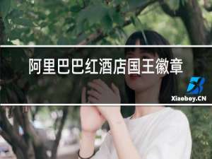 阿里巴巴红酒店国王徽章干红葡萄干红葡萄酒