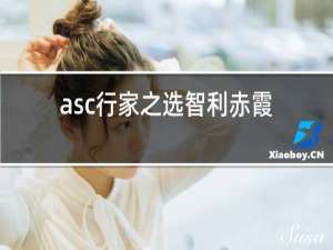 asc行家之选智利赤霞珠红葡萄酒