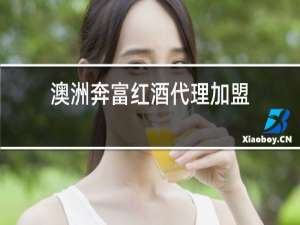 澳洲奔富红酒代理加盟