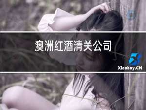 澳洲红酒清关公司