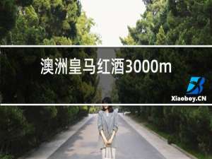 澳洲皇马红酒3000ml