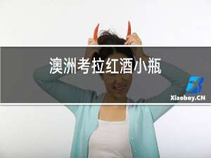 澳洲考拉红酒小瓶
