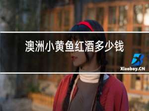 澳洲小黄鱼红酒多少钱