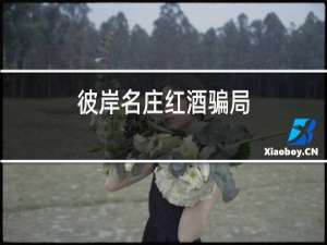彼岸名庄红酒骗局