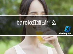 barolo红酒是什么品牌