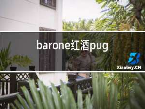 barone红酒puglia