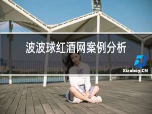 波波球红酒网案例分析