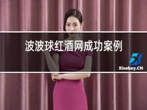 波波球红酒网成功案例