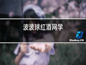 波波球红酒网学