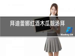 拜迪蕾娜红酒木瓜靓汤拜迪
