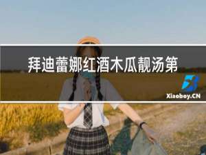 拜迪蕾娜红酒木瓜靓汤第四代