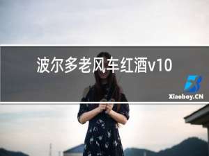 波尔多老风车红酒v10