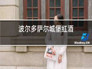 波尔多萨尔城堡红酒