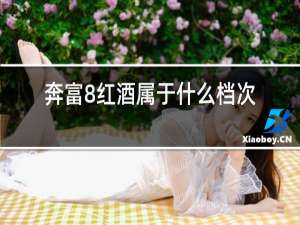 奔富8红酒属于什么档次