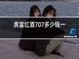 奔富红酒707多少钱一瓶