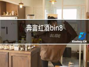 奔富红酒bin8