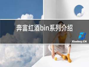 奔富红酒bin系列介绍Vin系列