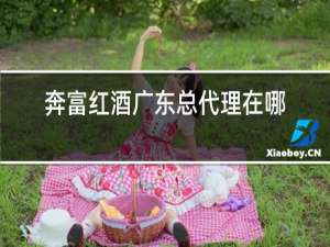 奔富红酒广东总代理在哪里
