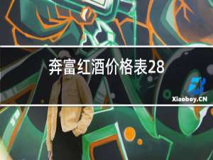 奔富红酒价格表28,187毫升