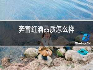 奔富红酒品质怎么样