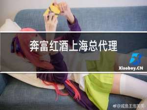 奔富红酒上海总代理