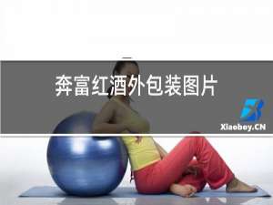 奔富红酒外包装图片