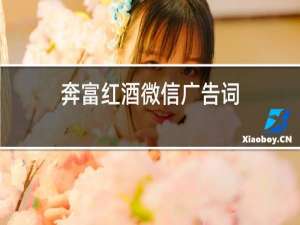 奔富红酒微信广告词