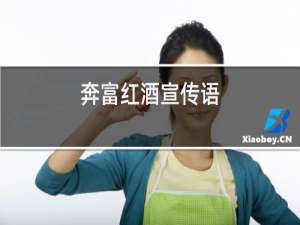 奔富红酒宣传语