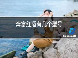 奔富红酒有几个型号