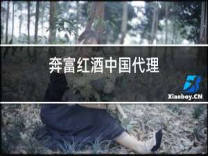 奔富红酒中国代理