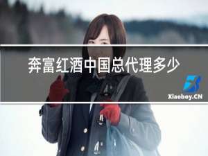 奔富红酒中国总代理多少钱