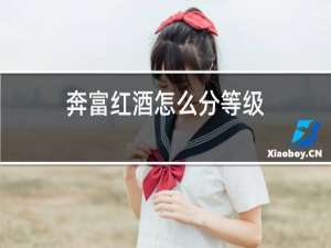 奔富红酒怎么分等级