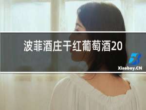 波菲酒庄干红葡萄酒2016