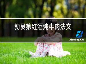勃艮第红酒炖牛肉法文