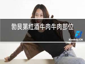 勃艮第红酒牛肉牛肉部位