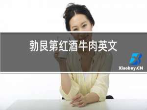 勃艮第红酒牛肉英文