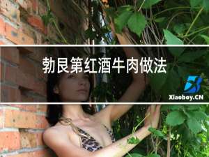 勃艮第红酒牛肉做法