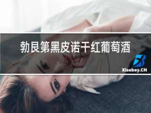 勃艮第黑皮诺干红葡萄酒价格