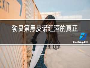 勃艮第黑皮诺红酒的真正价格