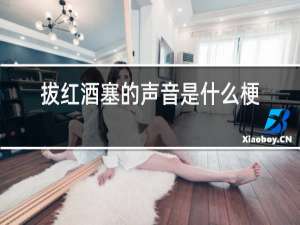 拔红酒塞的声音是什么梗