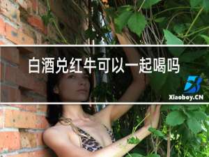 白酒兑红牛可以一起喝吗?