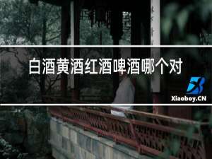 白酒黄酒红酒啤酒哪个对胃最不好