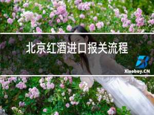 北京红酒进口报关流程