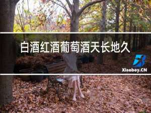 白酒红酒葡萄酒天长地久下联