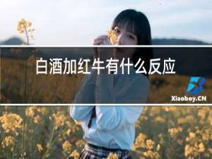 白酒加红牛有什么反应