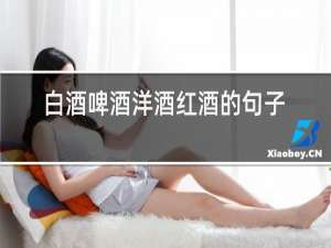 白酒啤酒洋酒红酒的句子
