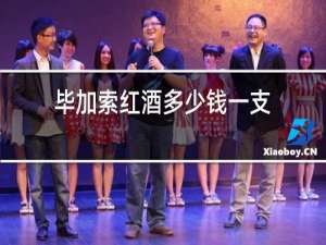 毕加索红酒多少钱一支