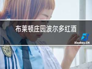 布莱顿庄园波尔多红酒