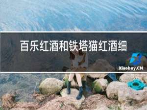 百乐红酒和铁塔猫红酒细烟