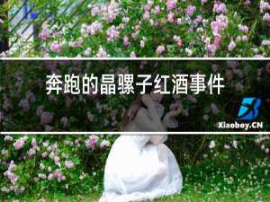 奔跑的晶骡子红酒事件